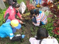 相簿「1010316小園丁實務工作-種香草了」封面