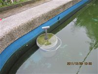 相簿「1001220建置生態池」封面