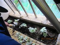 相簿「1001223小園丁團實務工作_park5」封面