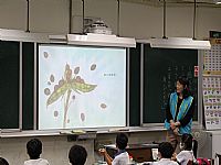 相簿「1091117 晨間說故事：繪本-種子下哈哈 延伸活動」封面