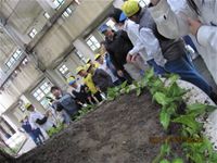 相簿「1001227小園丁團實務工作_park6」封面