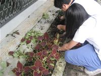 相簿「1010501小園丁實務工作」封面