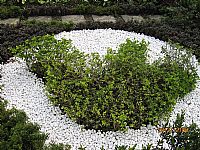 相簿「校園綠化美化」封面